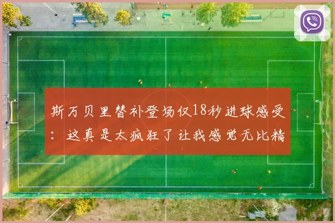 斯万贝里替补登场仅18秒进球感受：这真是太疯狂了让我感觉无比精彩