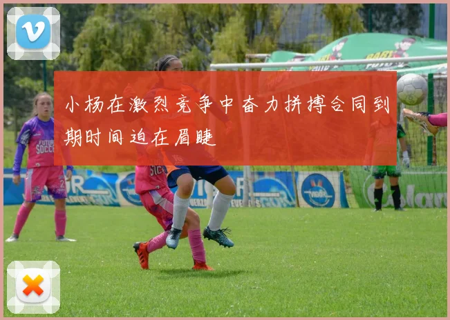小杨在激烈竞争中奋力拼搏合同到期时间迫在眉睫