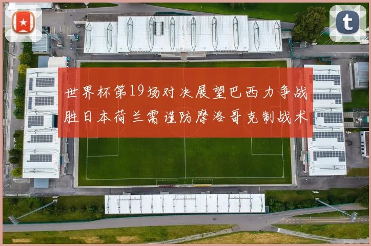 世界杯第19场对决展望巴西力争战胜日本荷兰需谨防摩洛哥克制战术